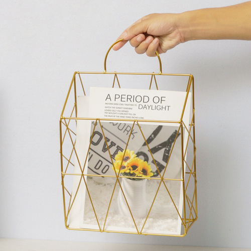 Nordic-style wall-mounted iron magazine rack book room bookshelf living room wall storage rack creative