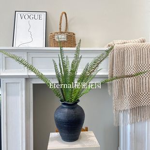 ����Gֲ����ާ�~��˹��ˮ��ֲ�����b� �@���쾰����~��