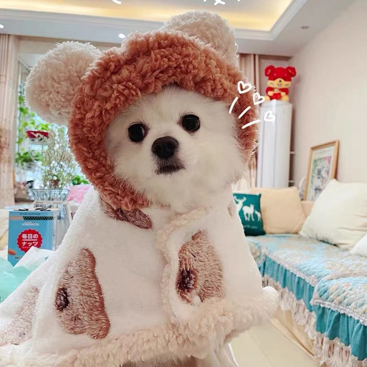 Küçük ve orta boy köpekler için kışlık köpek kıyafetleri, kediler için peluş uyku tulumları, mercan rengi kadife pelerinler, soğuğa dayanıklı ve sıcak tutan pelerinler