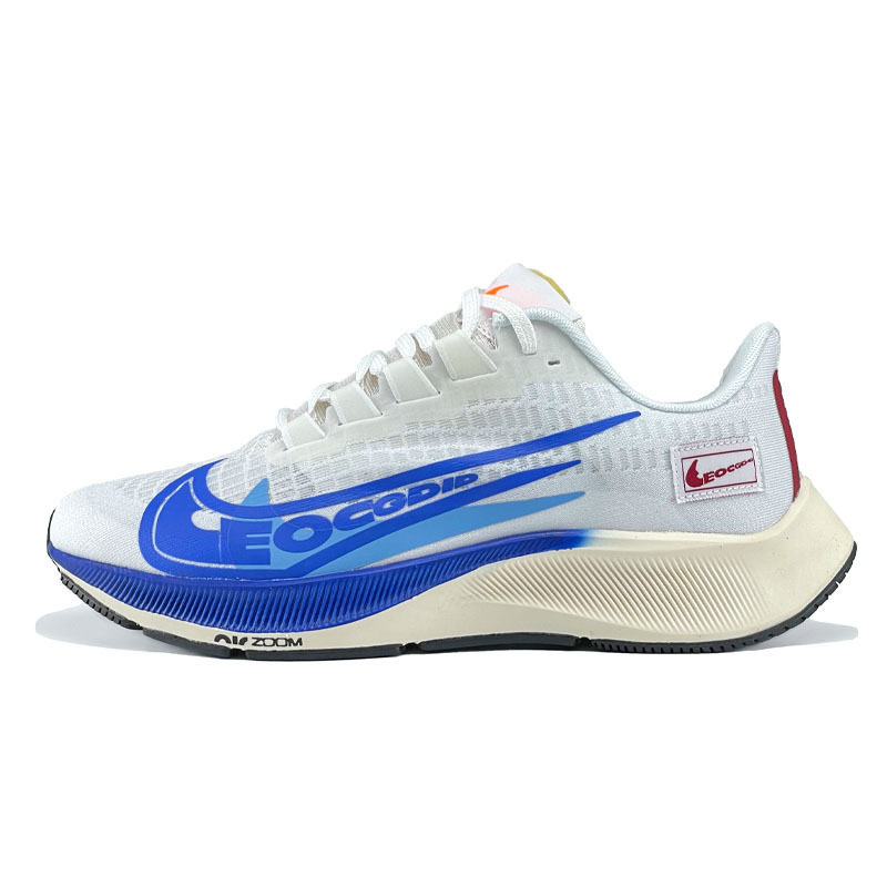 페가수스 37세대 화이트와 블루