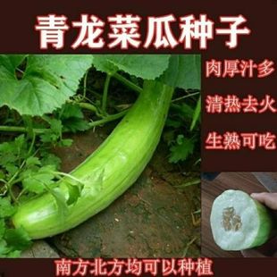 ���x�����˹ϷN�Ӱ�������Ƥ�ֹ��ћ����������ˮ���߲�����N