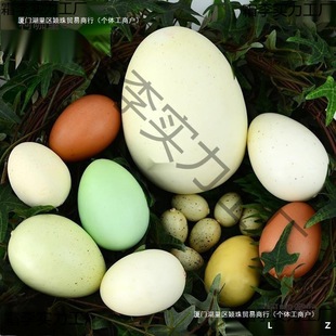 �����u���Z�������r�B���������g�����޵����u��ģ�͙����z�¿�ͯ