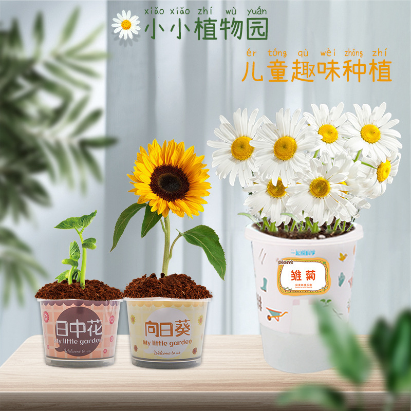 幼儿园diy手工儿童迷你种植植物小盆栽学生观察绿植种子发芽批发
