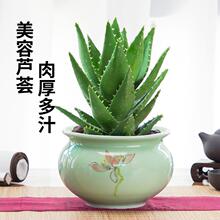 �J�C���Ժ����ʳ���҃ȳ���ȩ�����՚�ֲ�������B����
