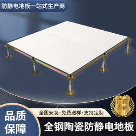 加工定制陶瓷防静电架空活动地板600*600机房监控室抗静电钢制