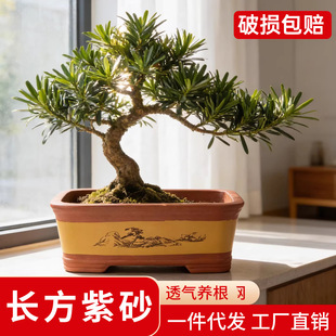 ���d������ɰ�մɼ��ô�ڏ��L���R�ۻ����҃��_�h���辰����͸��