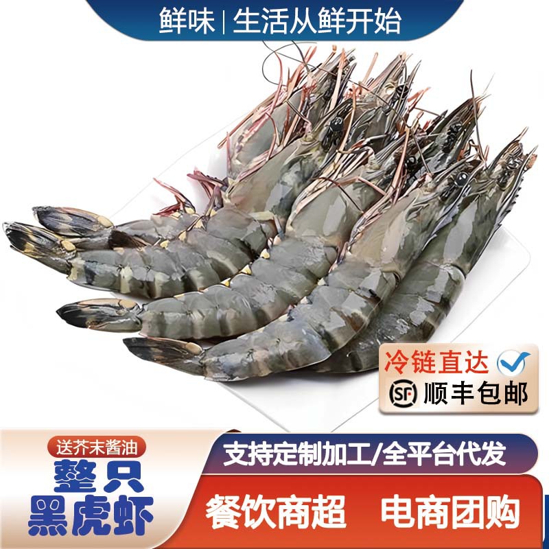特大黑虎虾新鲜速冻海捕大虾大号老虎虾无冰活冻九节虾冷冻水产