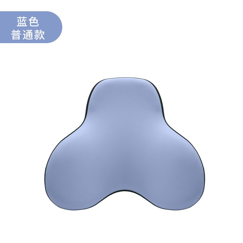 Xinshang 통기성 메모리 폼 요추 지지대 - 레이크 블루