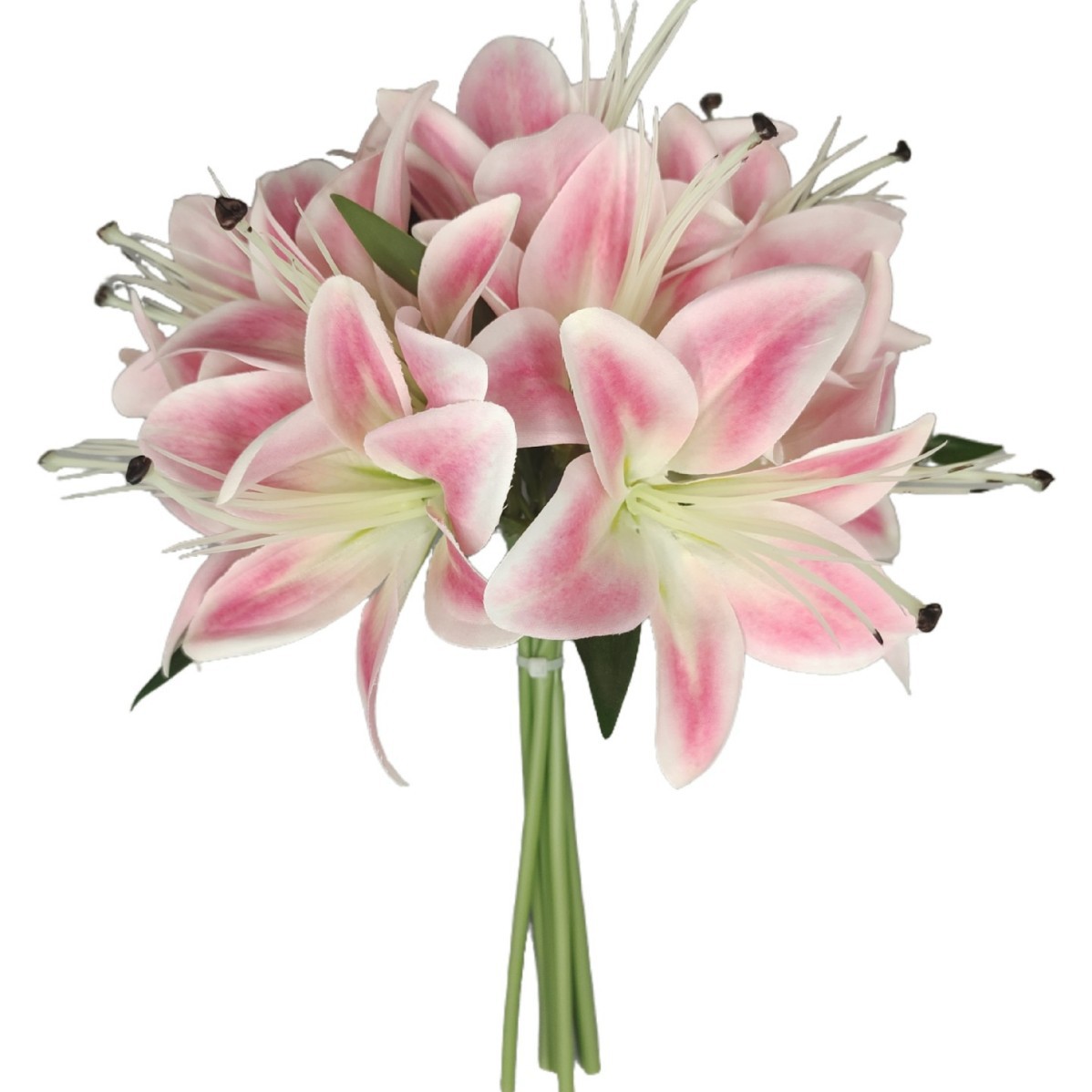 4 # 점이 없는 핑크색