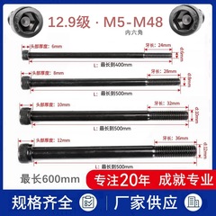 12.9級DIN912高強度延長六角穴付きねじ棒M10m24x200 * 300円筒カップヘッドボルト