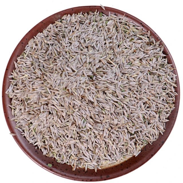 Lettuce Seed Sheng Cai Zi 500g Dried Whole Seeds Traditional Chinese Herb for Decoction and Tea quality and texture