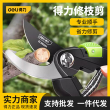 ������֦�������߼�֦����@�ֈ@ˇ���޼���֦��ˇ��ʡ�����֦��