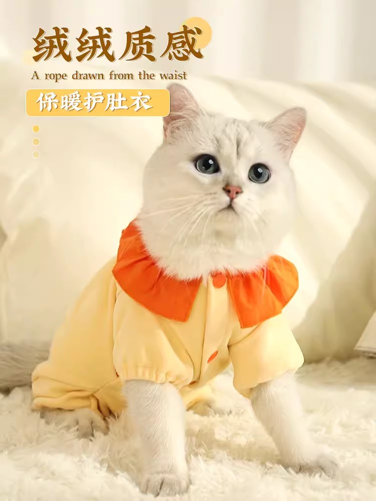 Ropa de gato anti-pelusa azul gato mascota marioneta corta belleza británica corto Otoño e Invierno Delgado cálido lindo ropa de cuatro patas