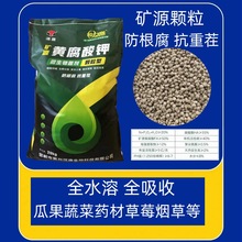 �VԴ�S������w���ͷ��Ϸ��������ز矟�ݹϹ���ݮ�߲�ș�ݾ���