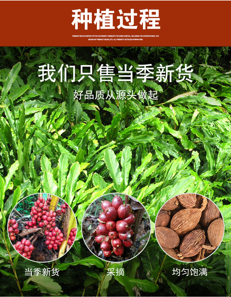 Cao Guo (Amomum tsaoko) — Dried Yunnan Black Cardamom for Stews & Hot Pot, 500g preparation