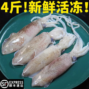 ʮ����㽭4��P���~���r����С���r��С���~�������r���~���r��