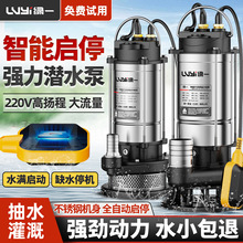 绿一家用不锈钢潜水泵污水泵高扬程自吸水泵220V农用抽水泵抽水机