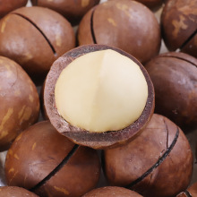 夏威夷果100g 大颗粒坚果炒货零食奶香味罐装袋装批发代发