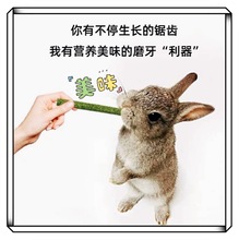 С��ĥ�����Z����؈������m�i����ĥ������ĥ���ݰ�}��ĥ�����