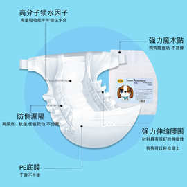 一次性宠物尿不湿公狗尿不湿母狗生理裤卫生裤经期裤厂家直销