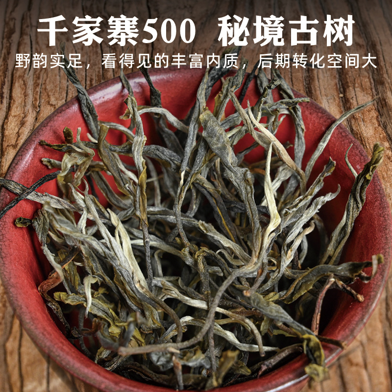 【千家寨古树茶·500】云南无量山 普洱茶生茶批发散茶 200克茶饼
