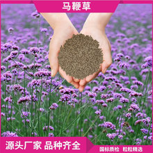 �������޸����ܷN�ӻ������l���~�R�޲ݻ������^���N��ֲ����ɫ