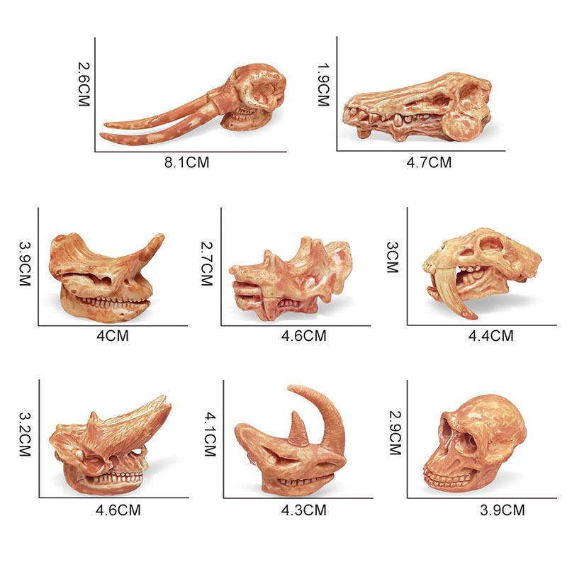 Simulación transfronteriza dinosaurio Jurásico cráneo decoración niños arqueología cognitiva dinosaurio cráneo fósil modelo juguete