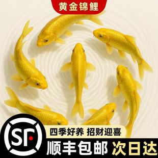 �S���\����ؔ�~���~���~���B�ͻ���ˮ�~���~�~����wС���~�^�p�~