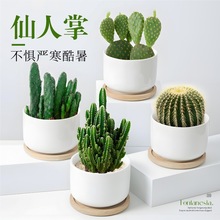 �����������������҃ȿ͏d�k�����������ֲ���ļ��Gֲ��