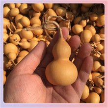 ���������غ��J ����С�غ��J �����^��������湤ˇ���J�غ��J