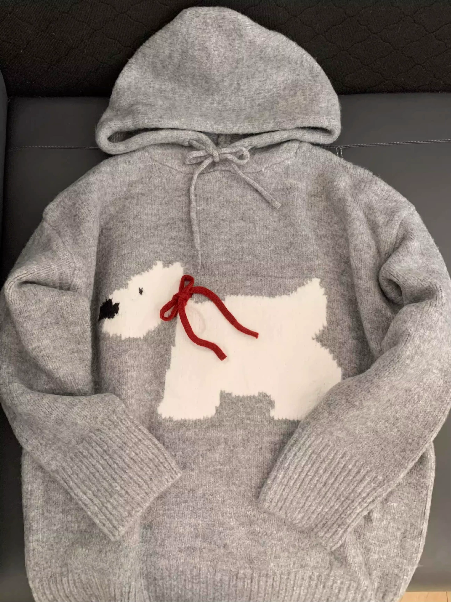 Knitted Hooded Sweater, Teen Unisex, Demi-Season Gray, One Size, Dog Motif