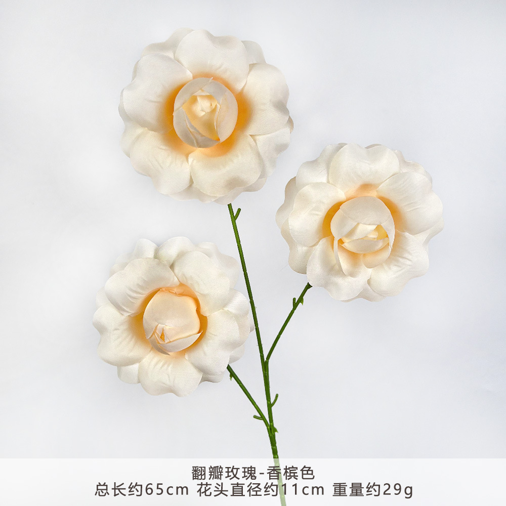 YN-翻瓣玫瑰-香槟