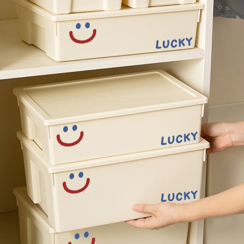 Desktop Storage Box, Multi-Functional Plastic Box for Sundries, Snacks, Cosmetics, Rectangular Organizer for Office Desk