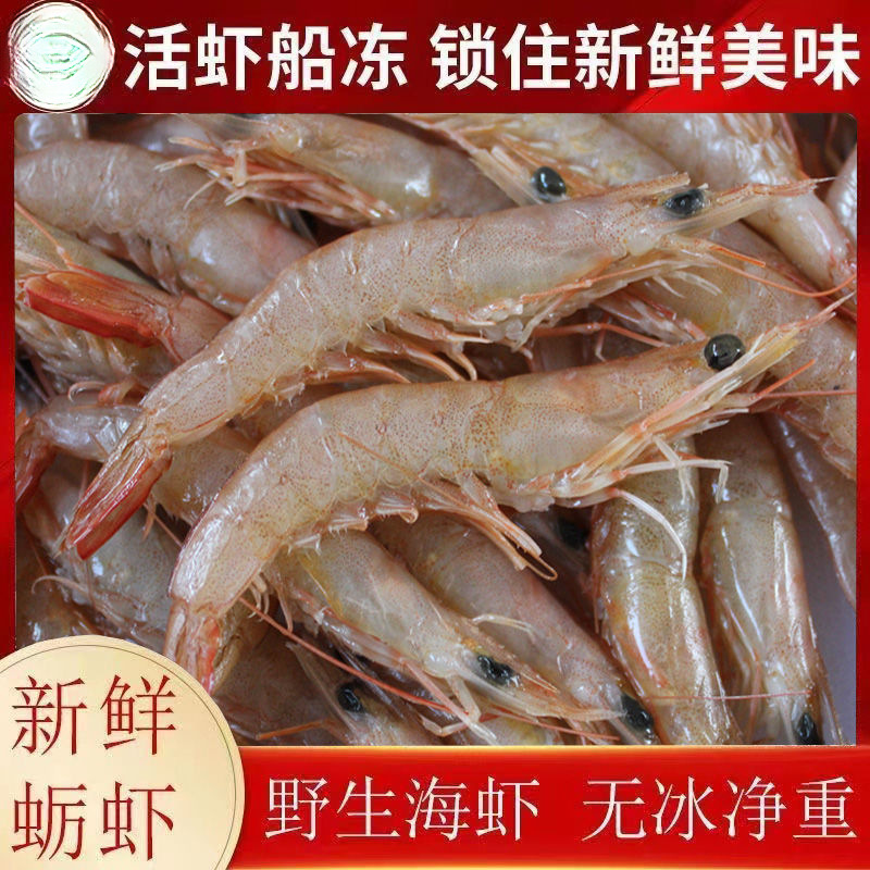 野生青岛蛎虾鲜活海虾滑皮虾立虾海捕鹰爪虾小虾批发商用