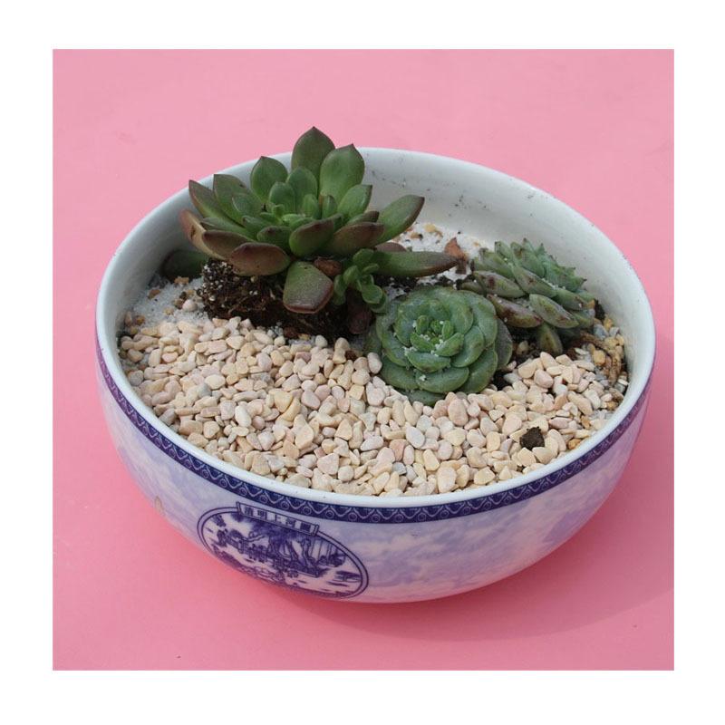 ˮˢʯ | 2-5mmˮϴʯ | Ļǽװ+͸ˮ·