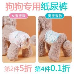 犬用おむつ、ペット用おむつ、雄犬専用、雌犬用、テディビション、プードル