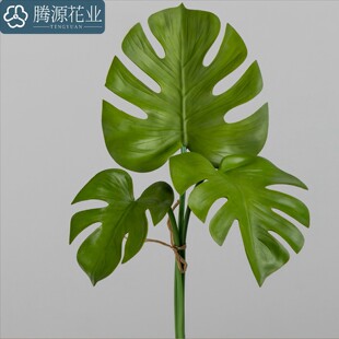 ���l���W�Lpu���������~ ��c���� ����ֲ���~�Ҿ��k���Ƶ��b�