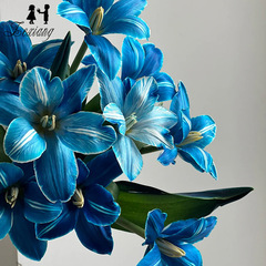 300ml鮮花染色劑吸染鬱金香吸色劑花藝資材DIY花束上色劑花店用品