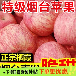 ɽ�|���ڟ�̨�t��ʿ�O�����rˮ������ˮ���������䃞�|�ù����l