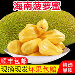 海南菠萝蜜新鲜水果包邮大树黄肉干苞菠萝405060整个木波萝蜜顺丰