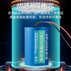 Delipu 18650 lithium battery pack instrument street light monitoring battery 3.7V/7.4V/12V lithium battery pack