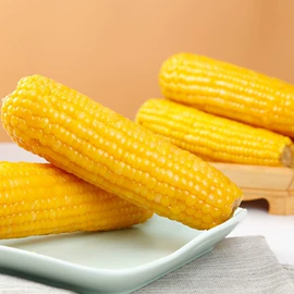 水产干货类;虾类;鱼类零食