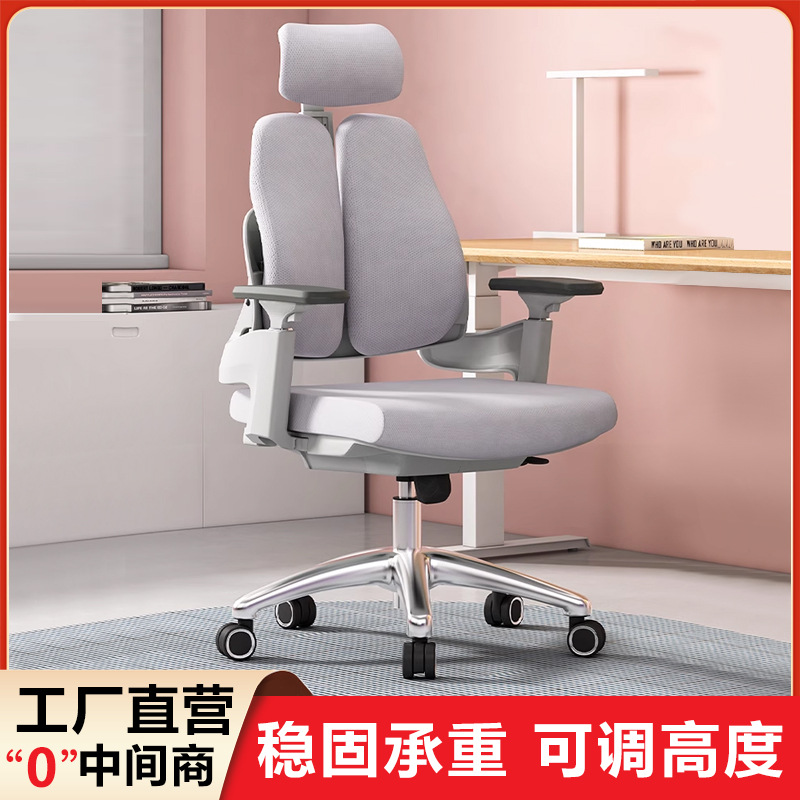 Longyu V2 Ergonomic Chair Office Comfortable Sedentary Chair Computer Chair Home Waist Protection E-sports Learning Chair