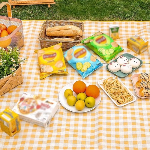 Picnic mat outdoor waterproof pad camping ground pad thick aluminum coated fabric tent seat cushion foldable beach spring outing stall pad