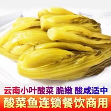 ���С�~��˲�����ßo������~������ݲˬF؛�S���}�n�˰��