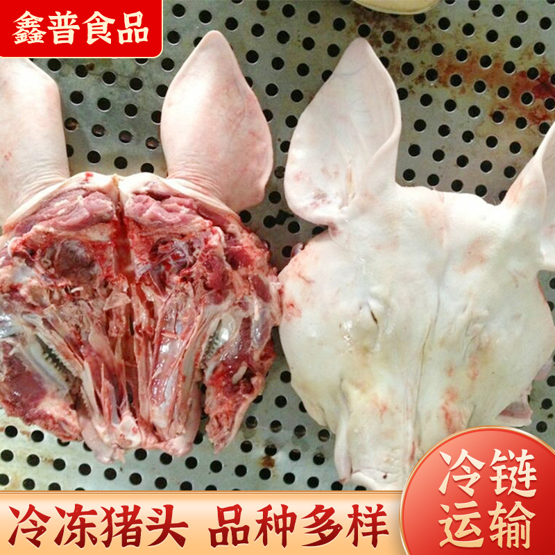 批发免洗猪头脱毛 冻猪头肉猪副产品冷冻猪头 冷冻食材临沂生猪头