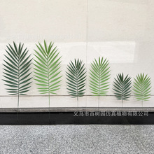 �羳����Gֲ��Ƭ����ᘿ��~����ɢβ����c�bzӰ���߲廨���~