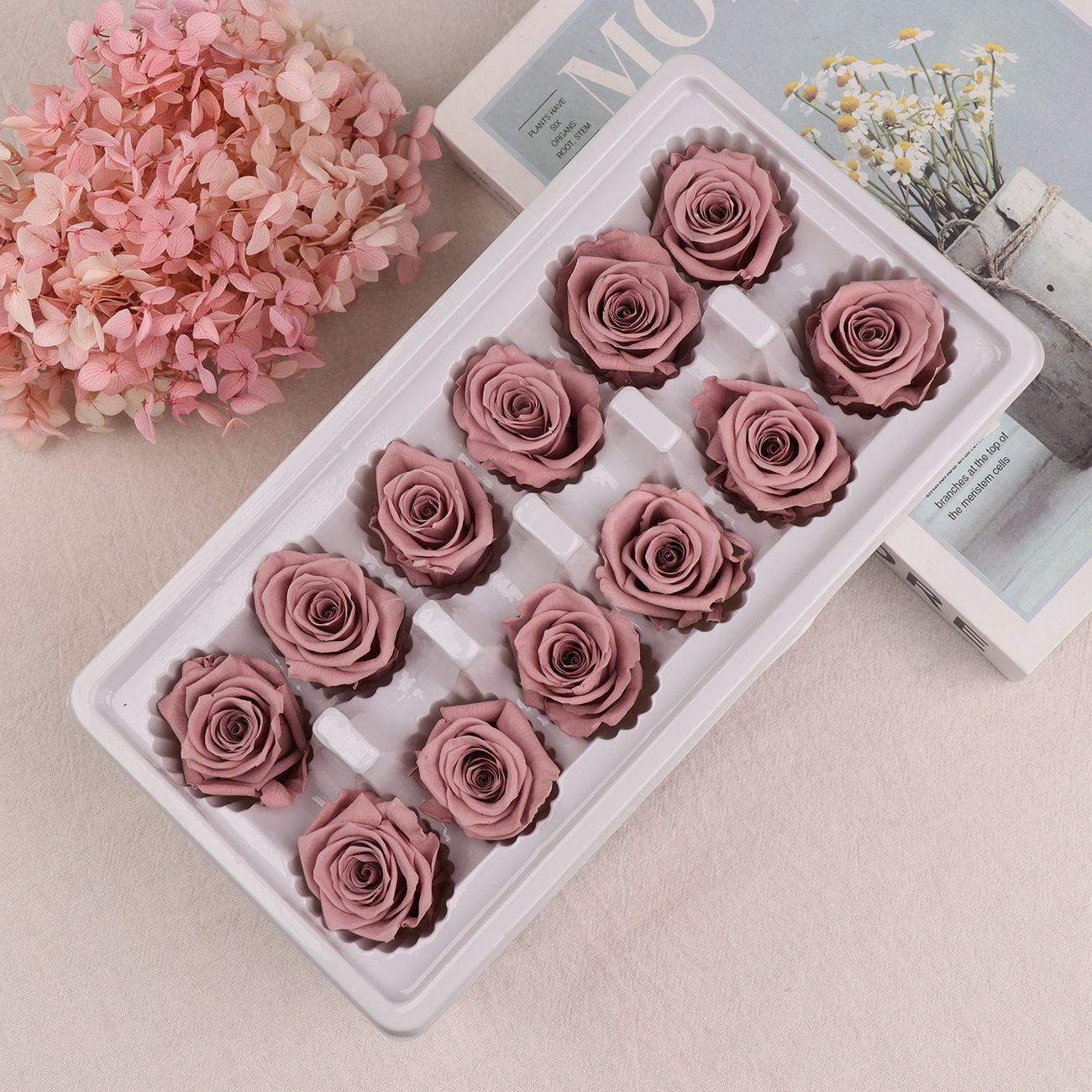 Cabezas de Rosa Eternas A+, 3-4 cm, 12 Piezas, Materiales para Manualidades Florales, Caja de Regalo, Fabricante, Venta al por Mayor