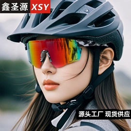 太阳镜;骑行眼镜;滑雪镜
