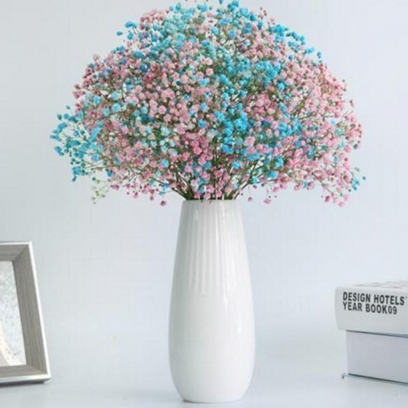 Yunnan lleno de flores secas, no olvides mi decoración de la casa, flores frescas, flores verdaderas, flores secas y verdaderas